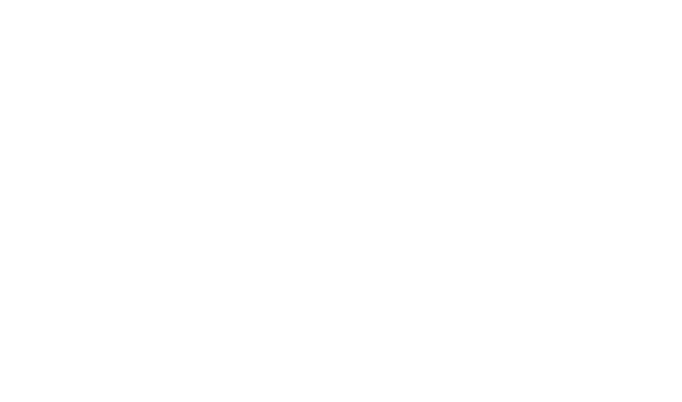 Spice for Solutions 公式サイト