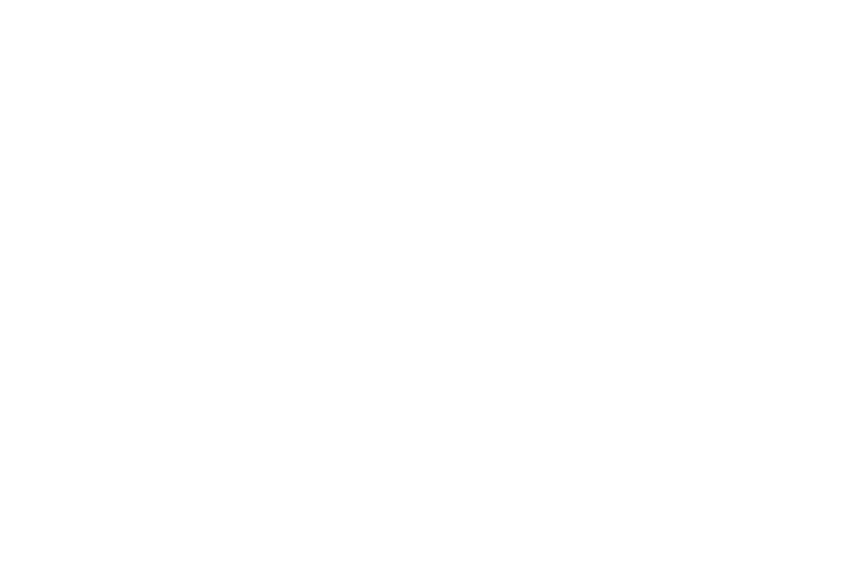 Spice for Solutions株式会社